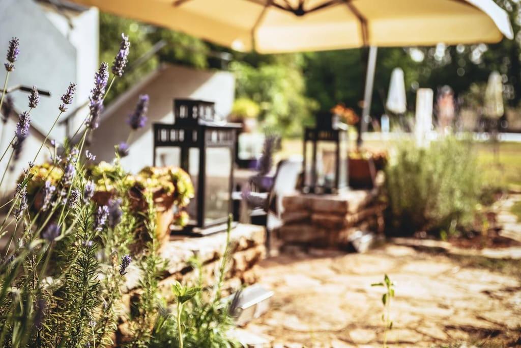 Luxury Villa Cetiri Hrasta Pićan Exterior foto