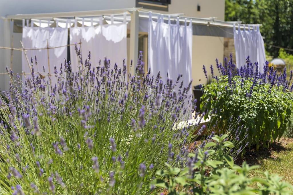 Luxury Villa Cetiri Hrasta Pićan Exterior foto